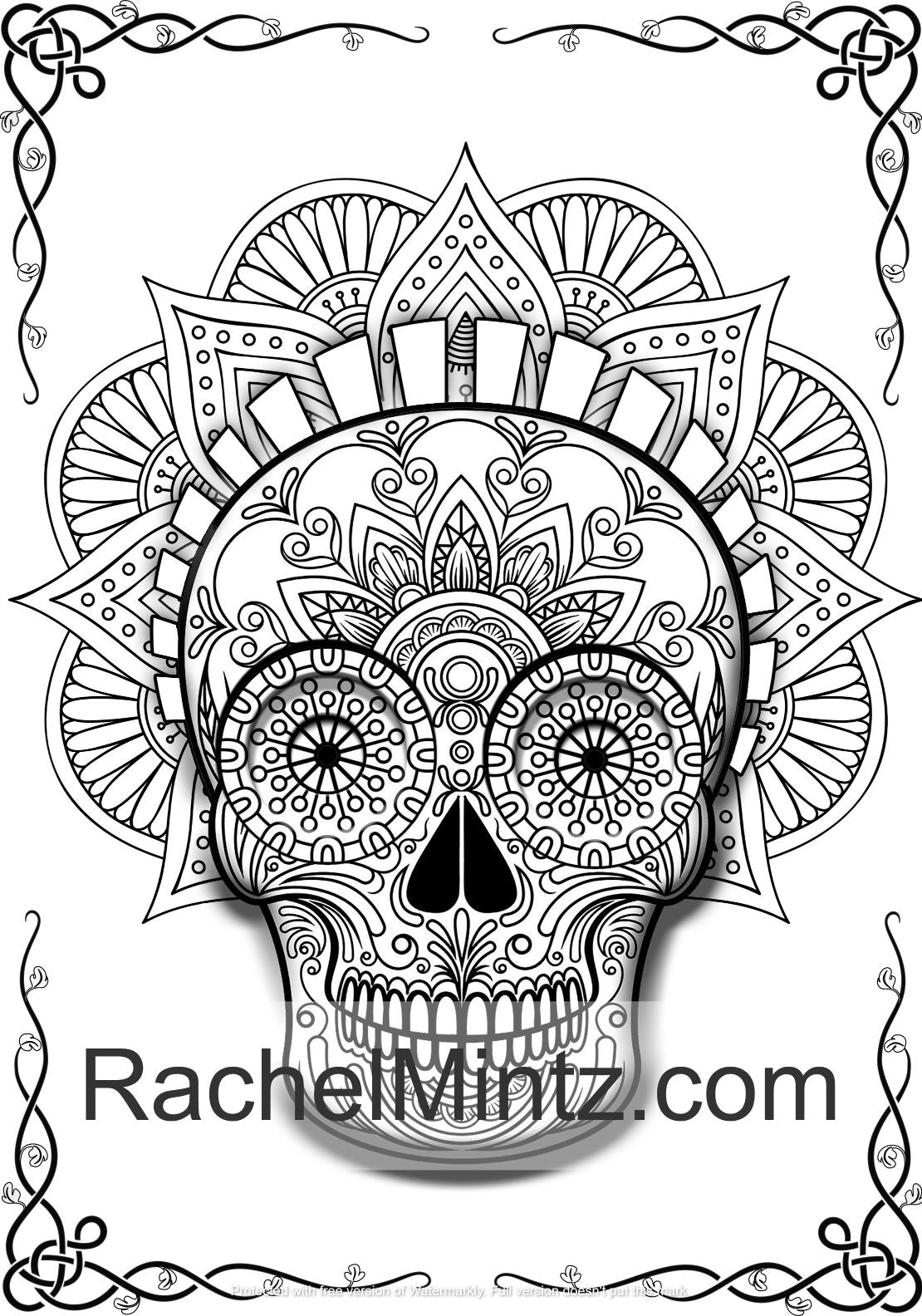 Skull mandalas coloring book