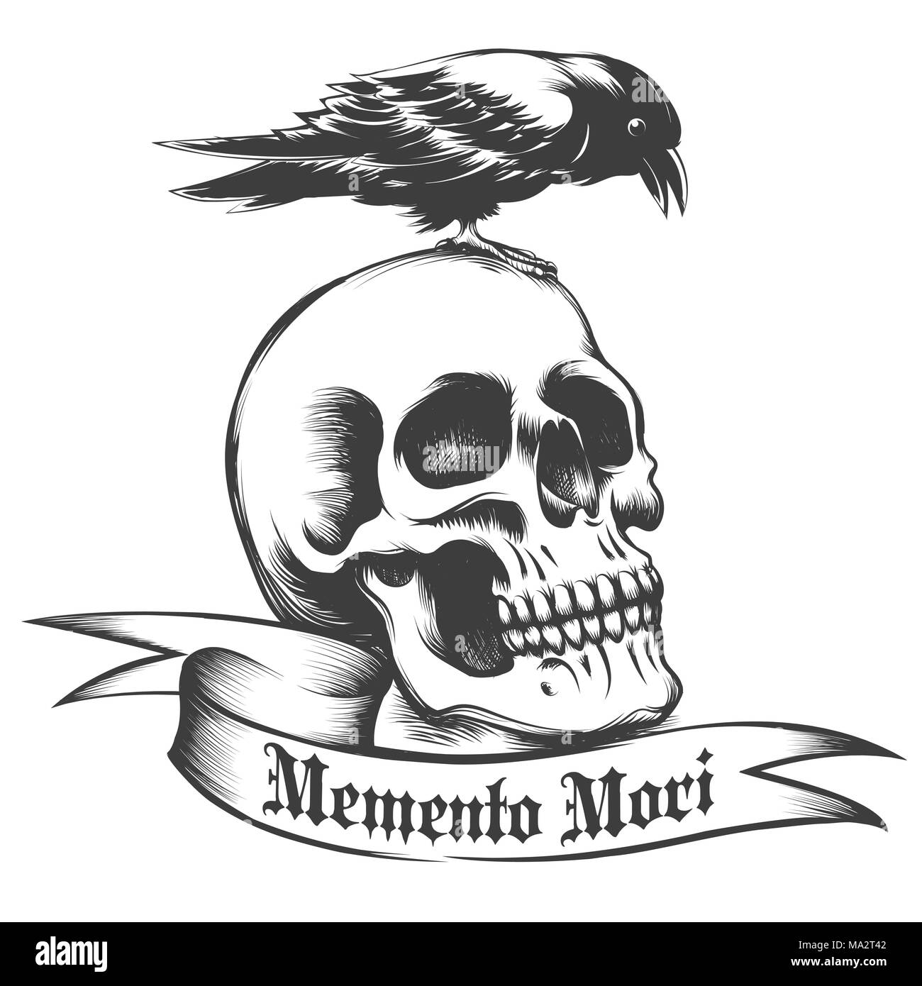 Hand drawn crow sitting on human skull and ribbon with latin wording memento mori what means remember what you have to die isolated on white vector stock vector image art