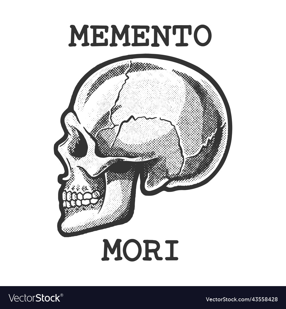Skull with memento mori phrase sketch royalty free vector