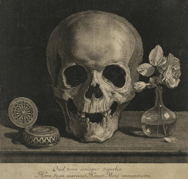 The skull