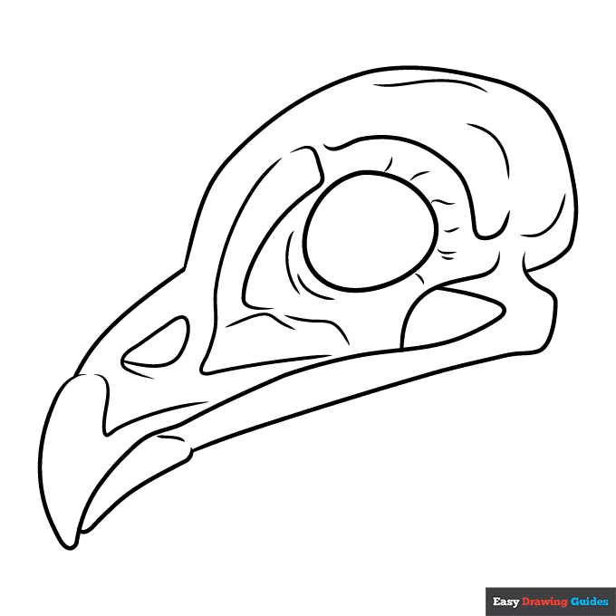 Free printable skull coloring pages for kids