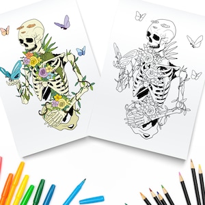 Skeleton coloring