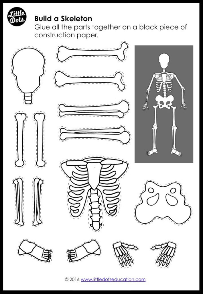 Skeleton printables for kids learning and decorating printables