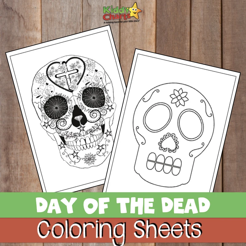 Day of the dead coloring book