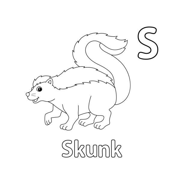 Skunk animal alphabet abc isolated coloring page s stock illustration