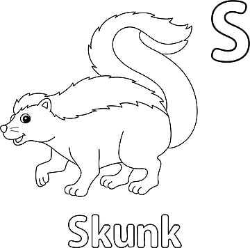Educational skunk coloring page for kids vector education contour vector cat drawing ring drawing education drawing png and vector with transparent background for free download