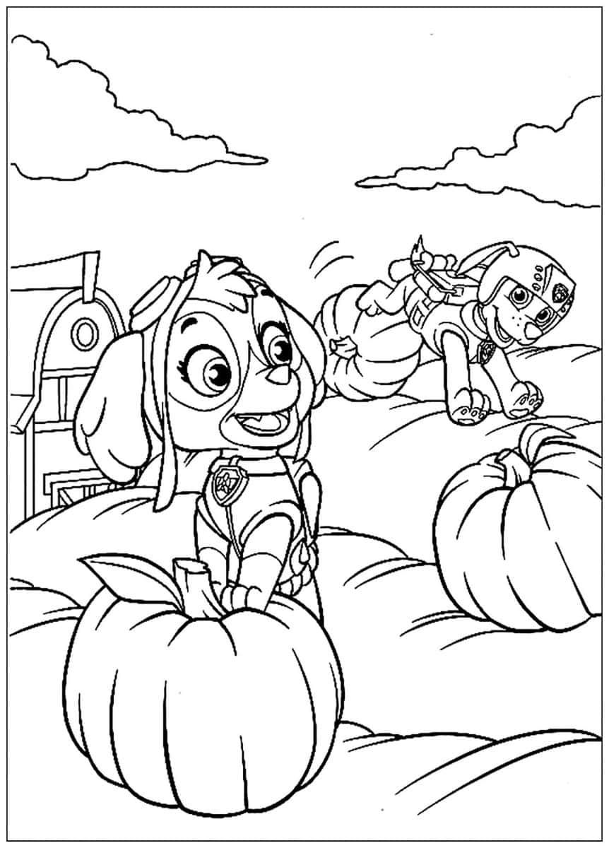 Cute paw patrol skye coloring pages free
