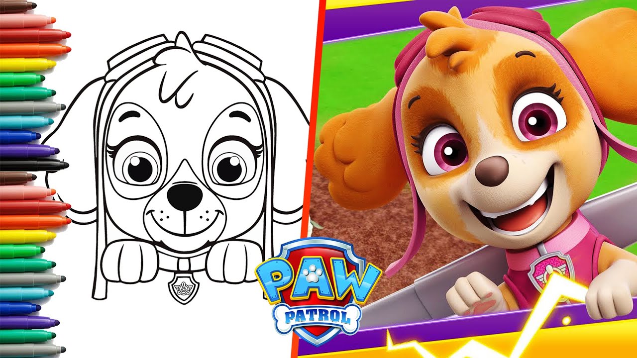 How to draw skye ð paw patrol face drawing easy skye ð paw patrol heroes