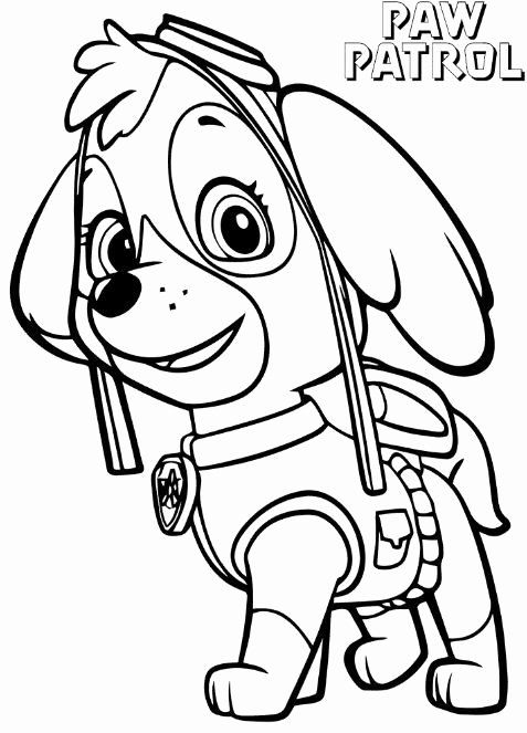 Paw patrol skye colorg page beautiful valuable idea skye paw patrol colorg pages book copâ paw patrol colorg paw patrol colorg pages cute colorg pages