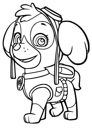 Free printable skye paw patrol coloring pages for adults and kids