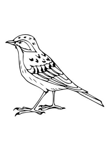 Sãnglãrka frãn europa mãlarbok gratis mãlarbilder att skriva ut skylark mãlarbok fãgel