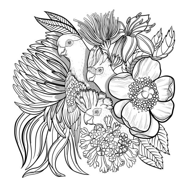 Parrot and flowers hand drawn for adult coloring book stock illustration