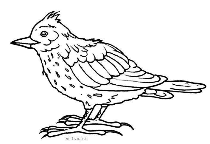 Animals coloring page
