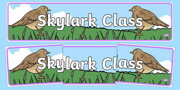 Skylark class display banner teacher made