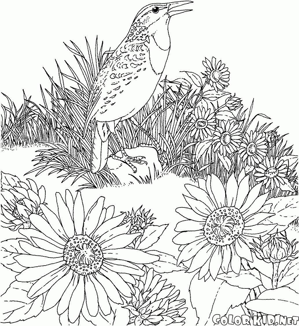 Coloring page