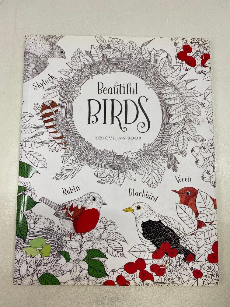 Adult colouring book hobbies toys stationery craft art prints on