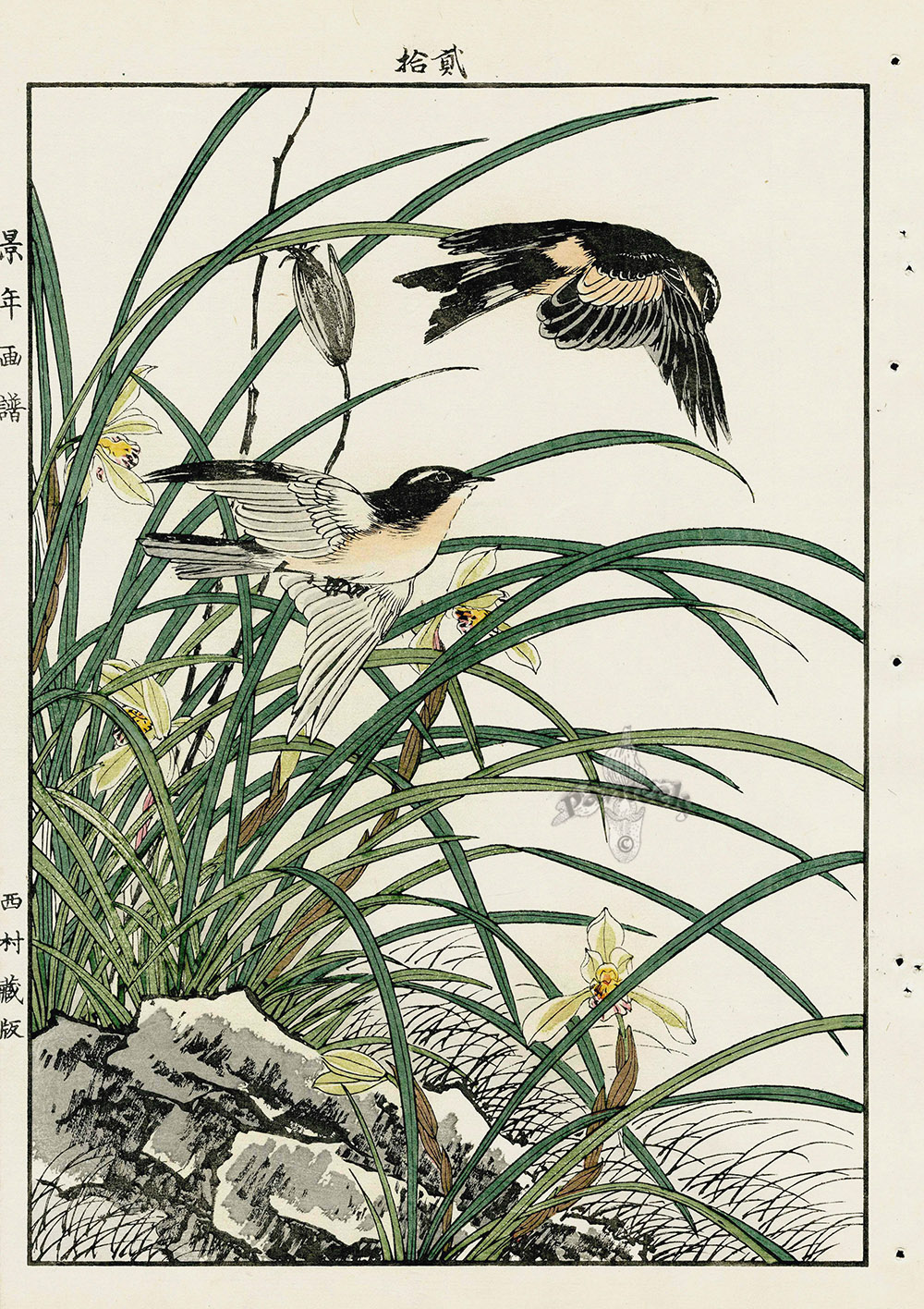 Iris lily skylark from imao keinen kacho original japanese woodblock prints of birds and flowers