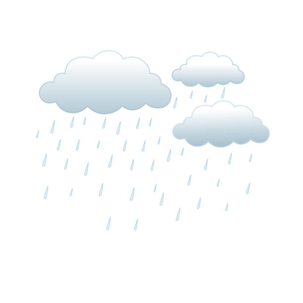 Rain storm forest stock illustrations royalty