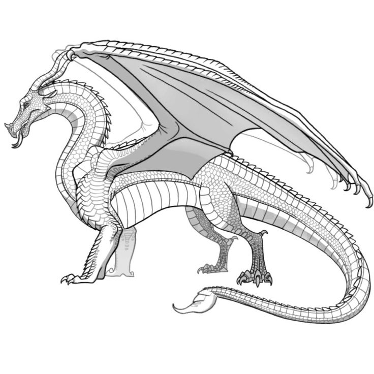 Skywing sandwing hybrid free to use wings of fire wings of fire dragons fire art