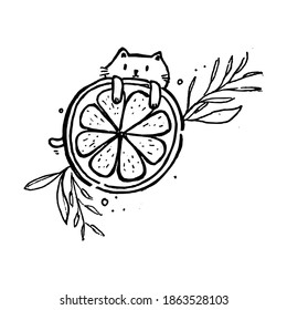 Coloring page kid cat slash orange stock vector royalty free