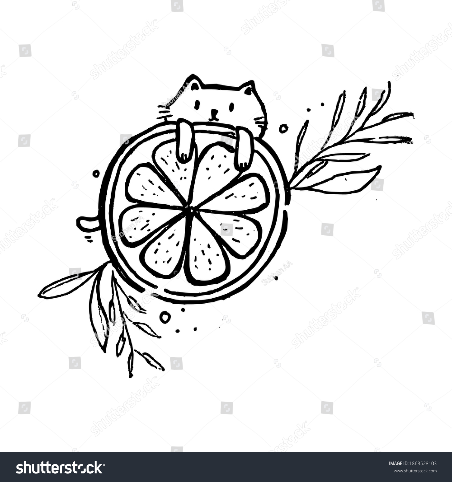 Coloring page kid cat slash orange stock vector royalty free