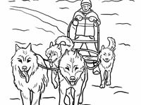 Best iditarod ideas iditarod dog sledding coloring pages