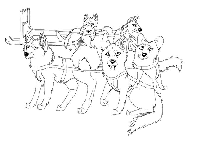 Pin by jarrod coomer on iditarod