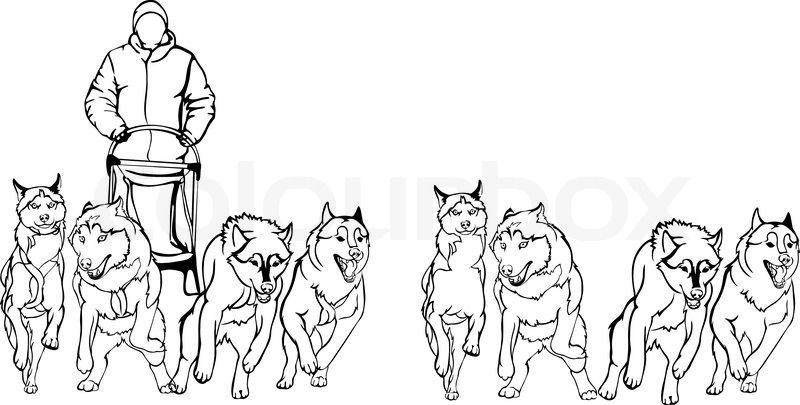 Dog coloring page horse coloring pages dog sledding