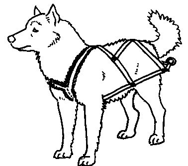 Make your own dog harness uberpests journal dog harness pattern diy dog stuff dog sledding