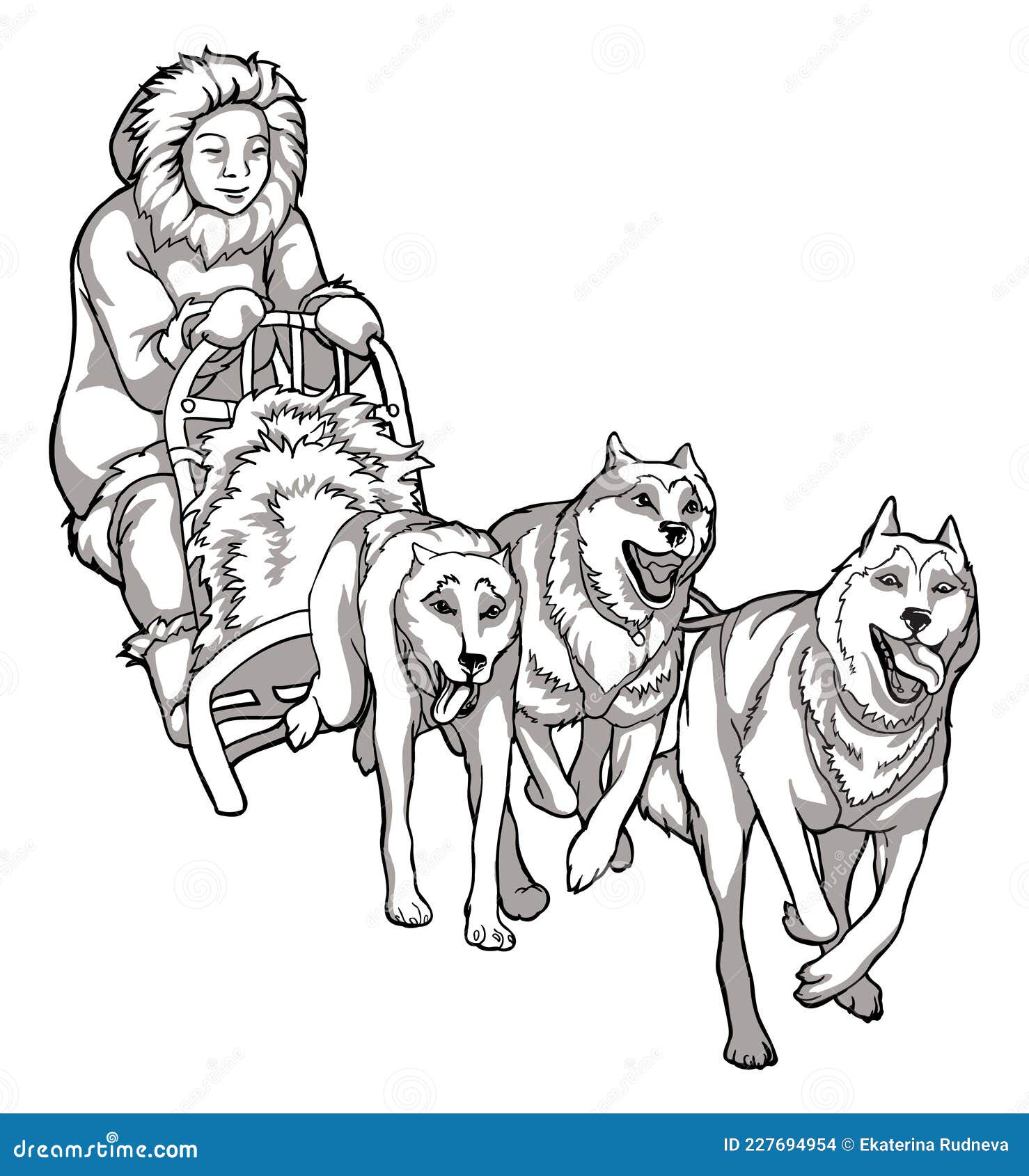 Dogs drawing sled stock illustrations â dogs drawing sled stock illustrations vectors clipart