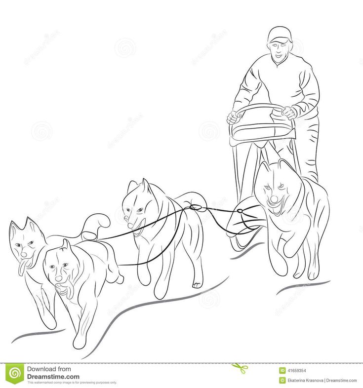 Hand drawn illustration of dogs pulling a sled dog coloring page dog sleigh dog art