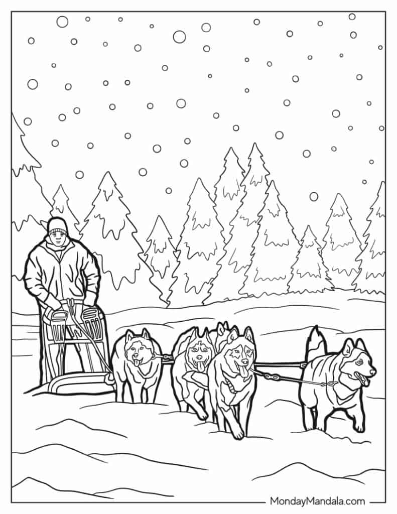 Husky coloring pages free pdf printables