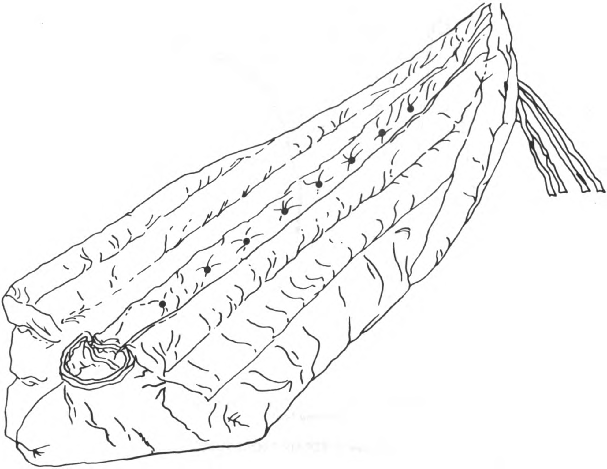 Extreme cold weather sleeping bag