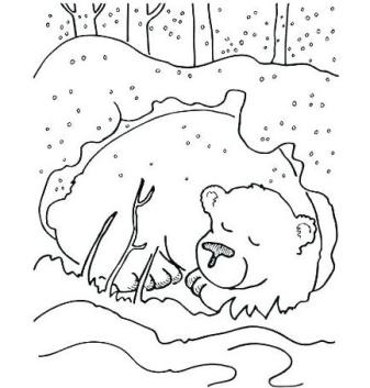 The amazing shrinking puppy as told by rufus p bear â jo anne harris rowland