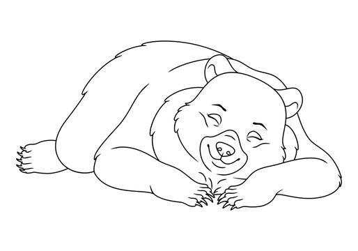Sleeping bear cartoon images â browse photos vectors and video