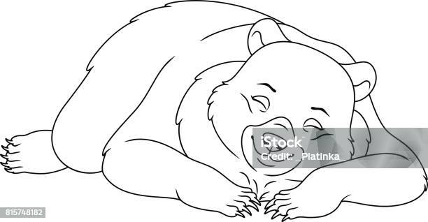 Sleeping bear coloring page stock illustration