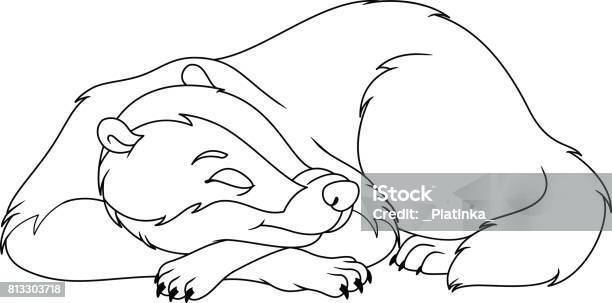 Sleeping bear coloring page stock illustration