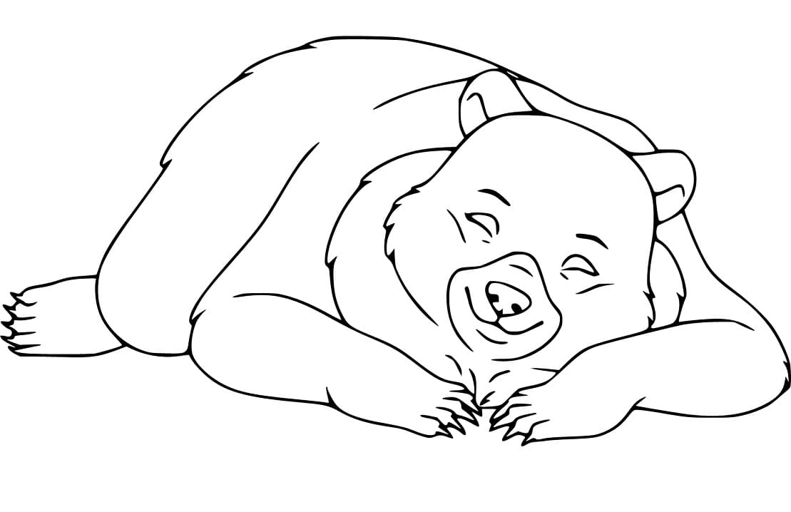 Black bear sleeping fãrbung seite