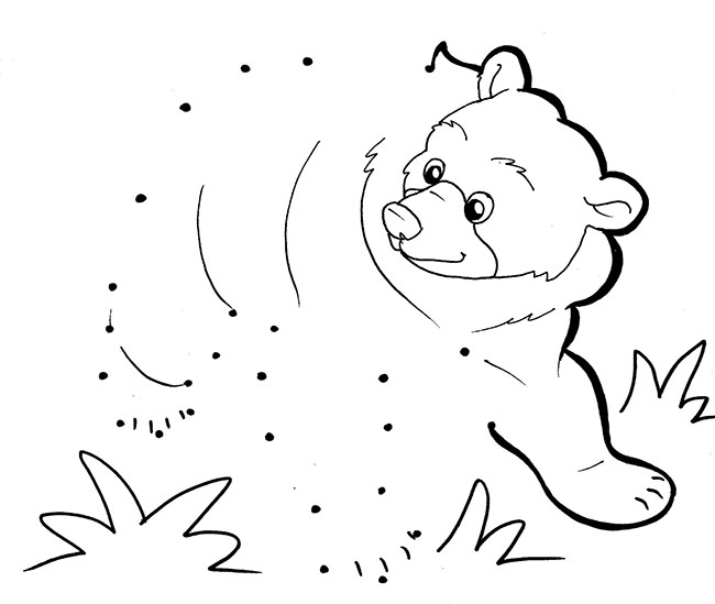 Bear