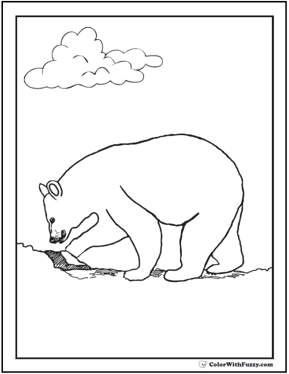 Bear coloring pages grizzlies koalas pandas polar and teddy bears
