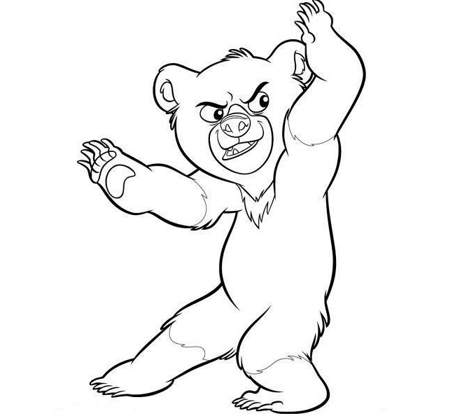 Bear