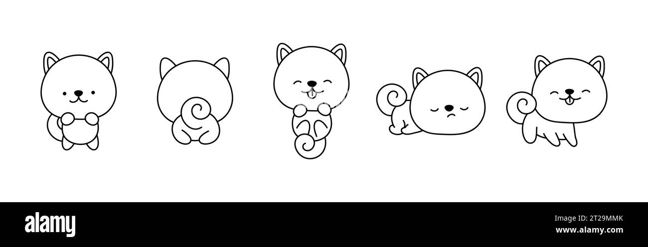 Shiba black and white stock photos images