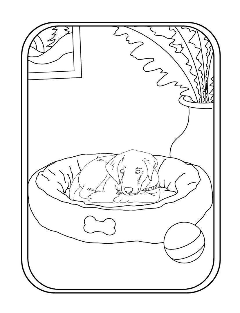 Dog sleeping in dog bed coloring page dog bed sleeping dogs dog coloring page