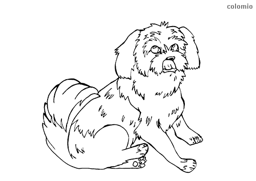 Dogs coloring pages free printable dog coloring sheets