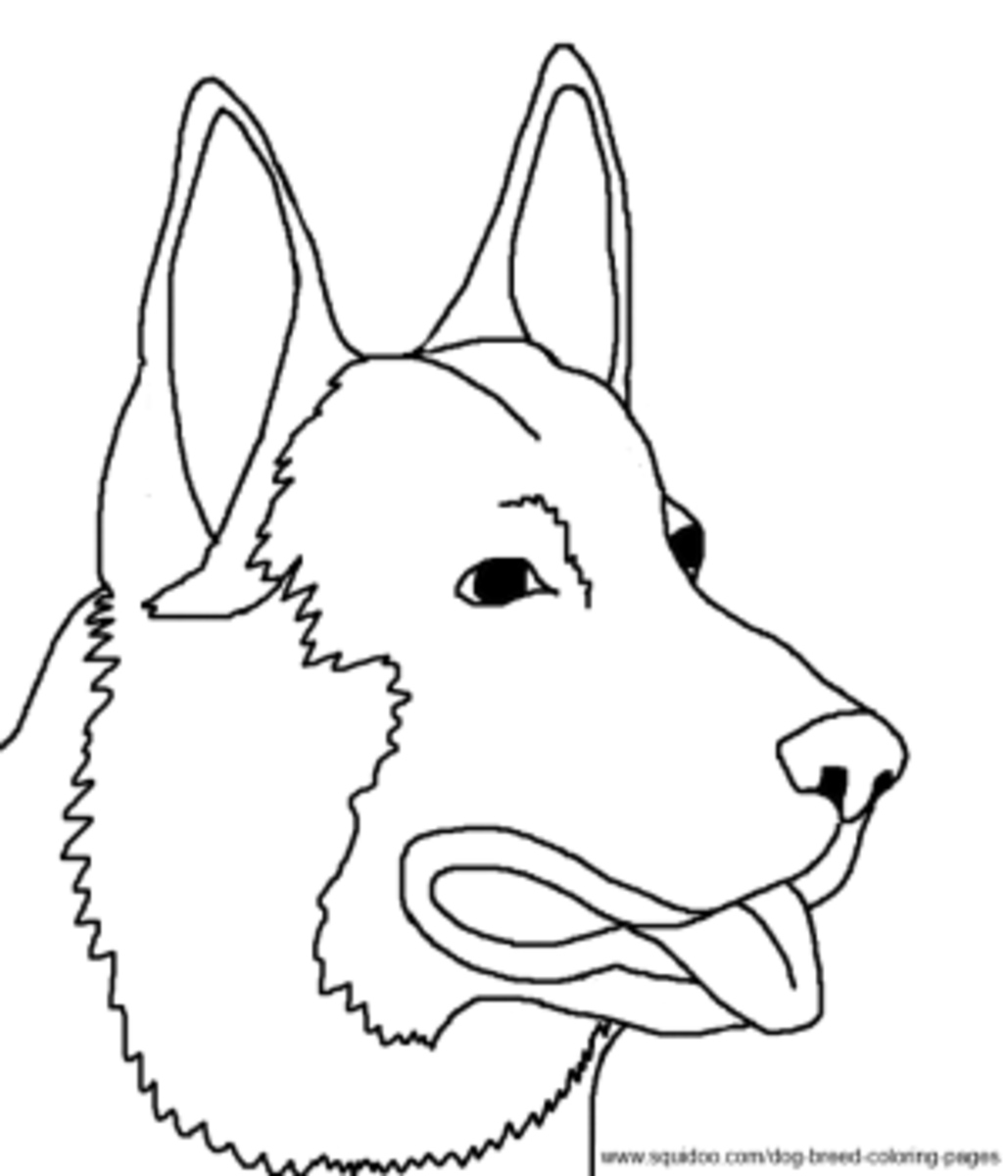 Dog breed coloring pages