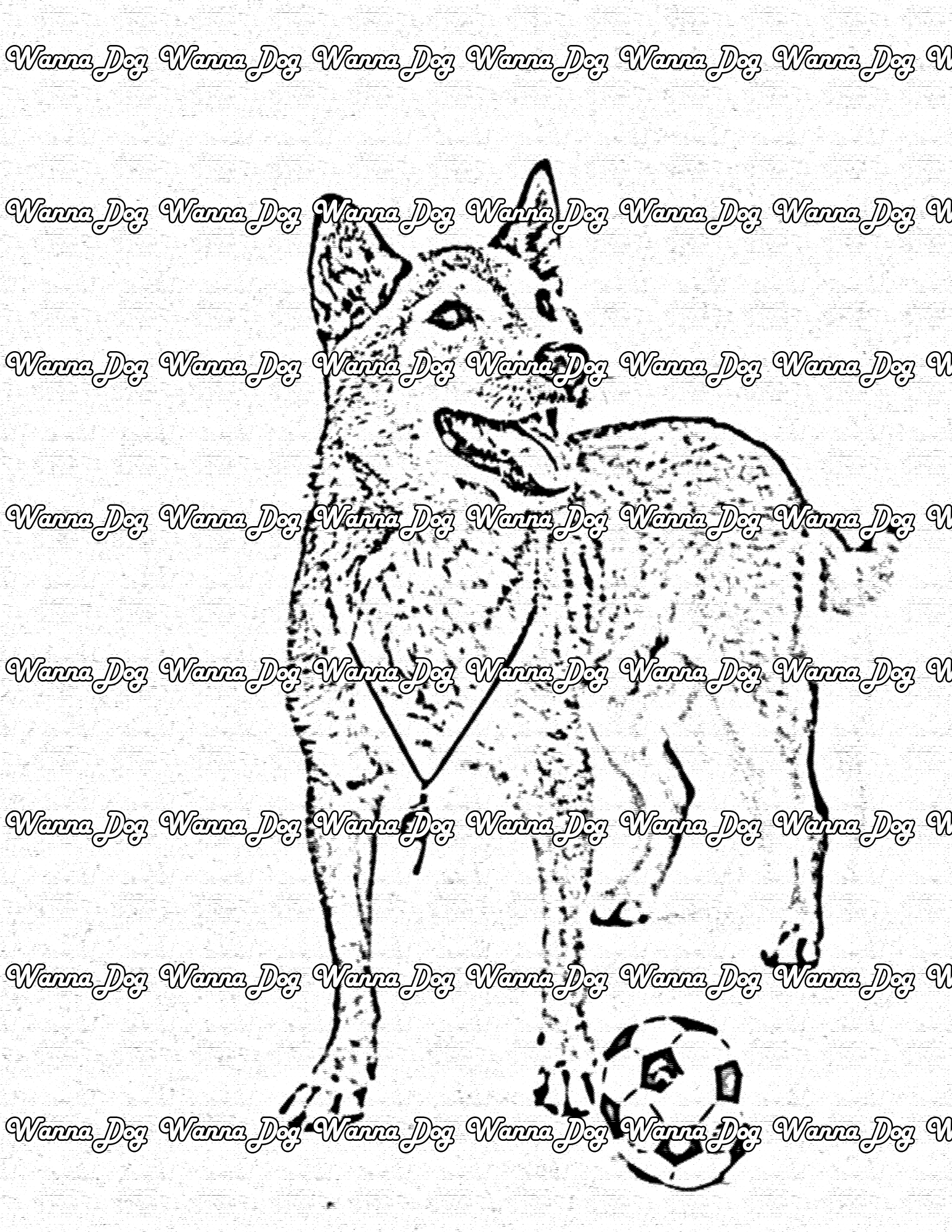 Shiba inu coloring pages â wanna dog