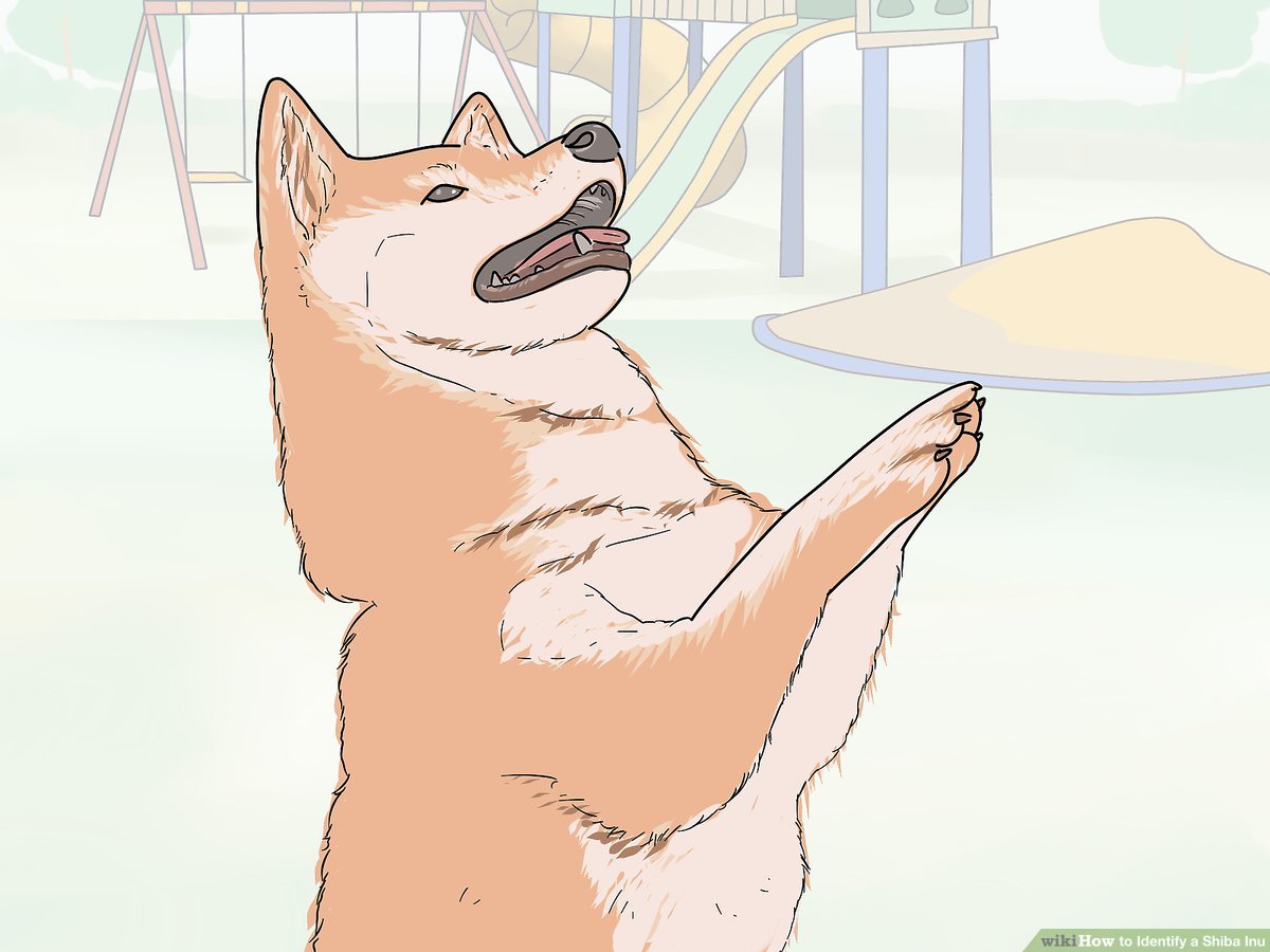 Ways to identify a shiba inu