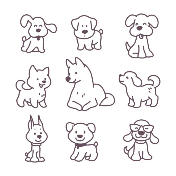 White shiba inu stock photos pictures royalty