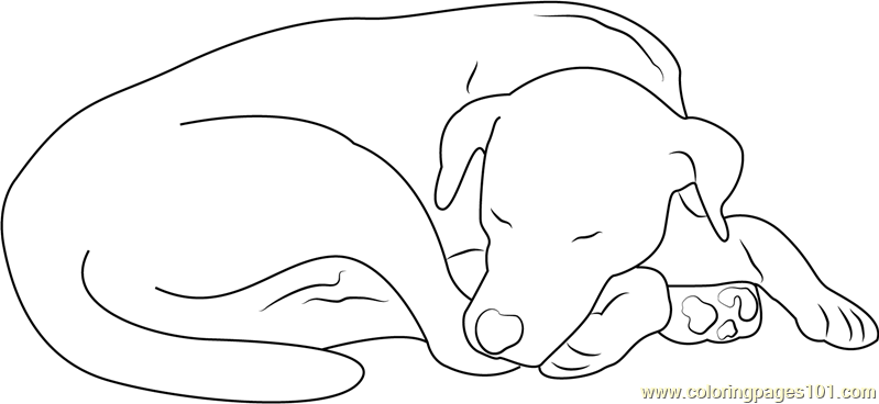 Let sleeping dog coloring page for kids