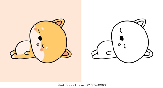 Kawaii shiba inu photos images and pictures